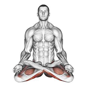 Full Lotus Pose