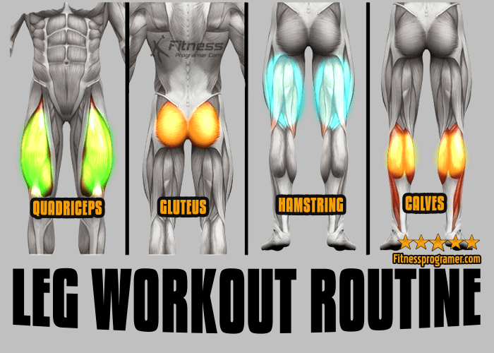 Intermediate Leg Workout for Building Muscle