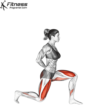 Half Kneeling Hip Flexor Stretch