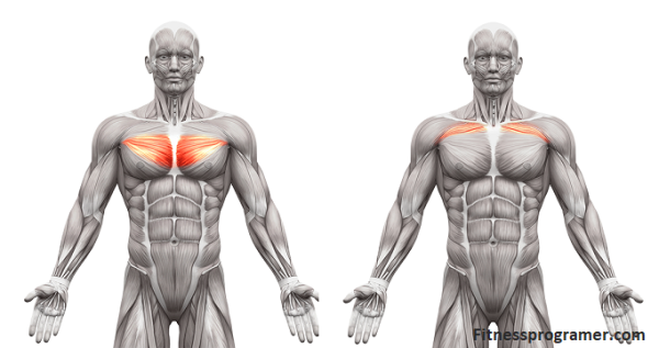 low cable crossover muscles