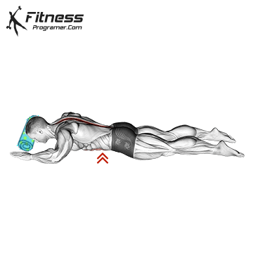 Prone Abdominal Hollowing