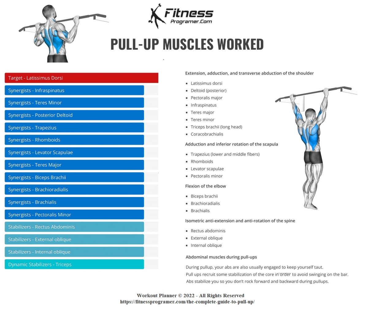 pull-up muscles worked
