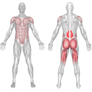 PVC hip hinge muscles
