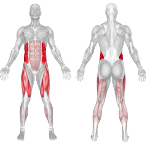 Seated Side Crunch