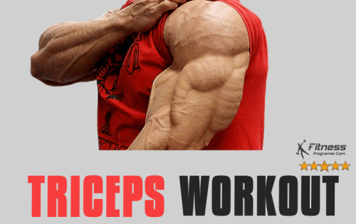 Triceps Workout