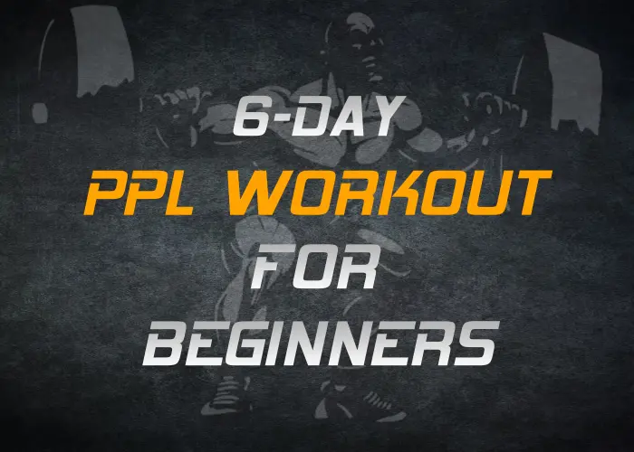 6-Day PPL Workout Program For Beginners