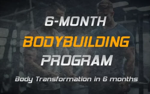 6-Month Bodybuilding Program