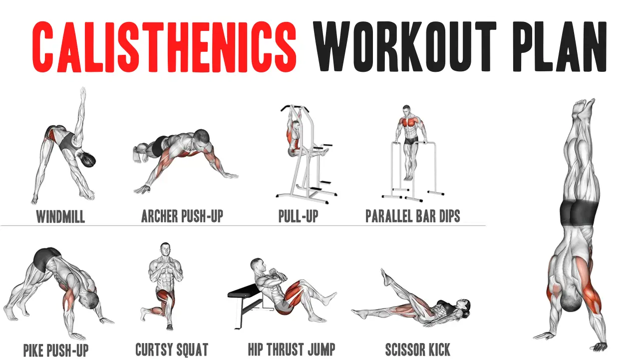 Are You Looking For A Perfect Calisthenics Workout Plan?