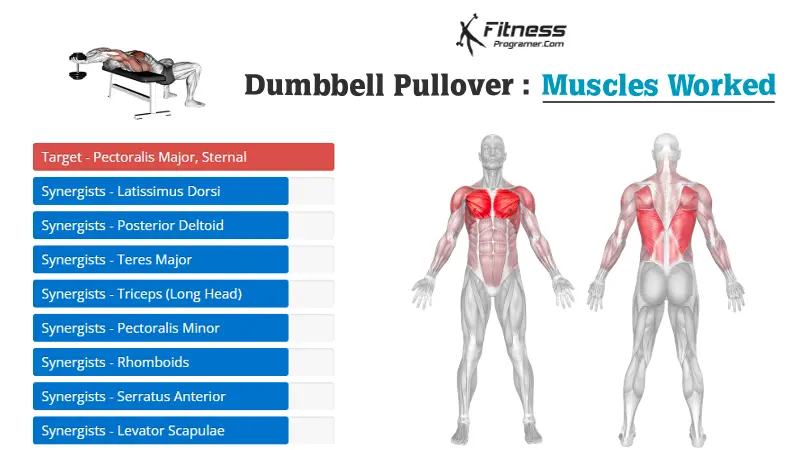 dumbbell pullover muscles worked